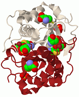 Image Biol.Unit 1 - manually