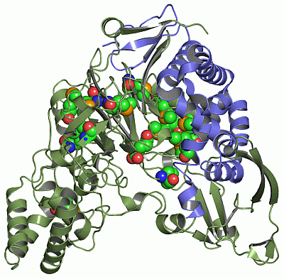 Image Asym./Biol. Unit - manually