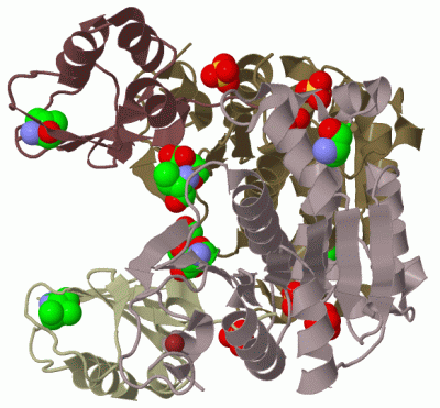 Image Biol.Unit 1 - manually