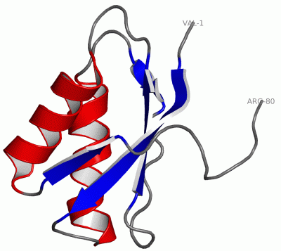 Image NMR Structure - manually