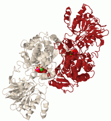 Image Biol.Unit 1 - manually