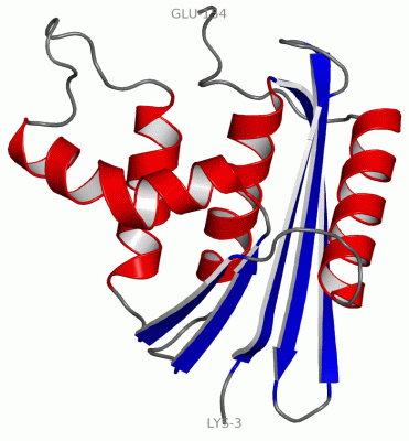 Image Asym./Biol. Unit - manually