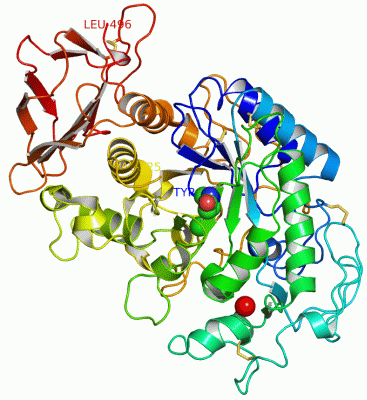 Image Asym./Biol. Unit - manually