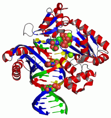 Image Asym./Biol. Unit - manually