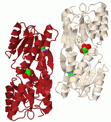 Image Biol.Unit 1 - manually