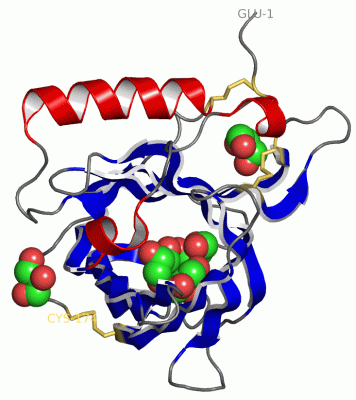 Image Asym./Biol. Unit - manually