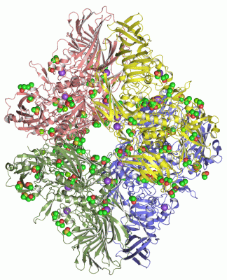 Image Asym./Biol. Unit - manually