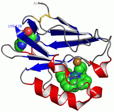 Image Asym./Biol. Unit - manually