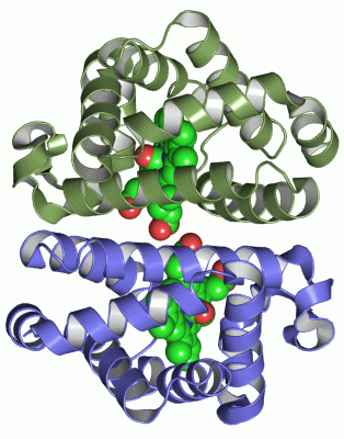 Image Asym./Biol. Unit - manually