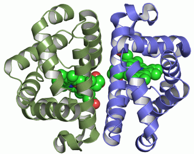 Image Asym./Biol. Unit - manually