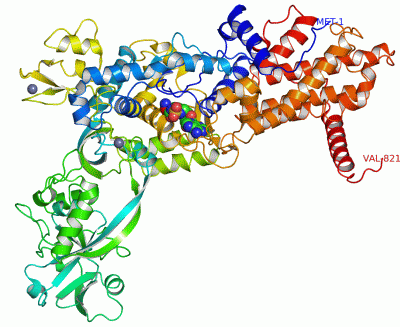 Image Asym./Biol. Unit - manually