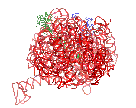 Image Asym./Biol. Unit - manually