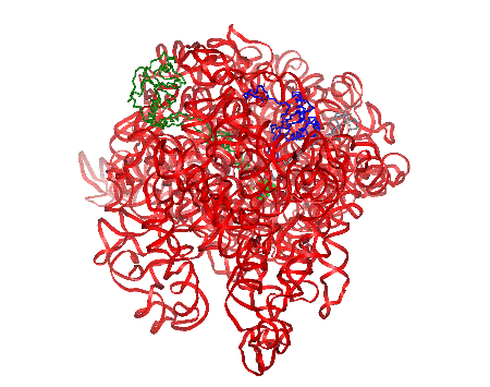 Image Asym./Biol. Unit - manually