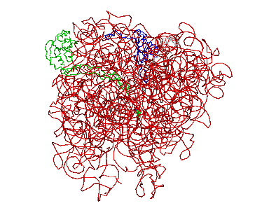 Image Asym./Biol. Unit - manually