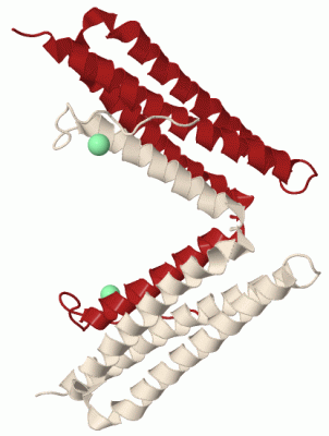 Image Biol.Unit 1 - manually