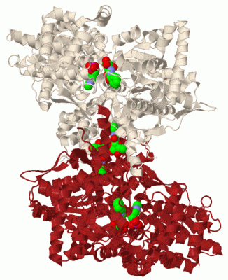 Image Biol.Unit 1 - manually