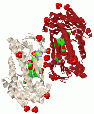 Image Biol.Unit 1 - manually