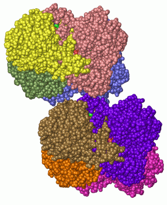 Image Asym.Unit - manually