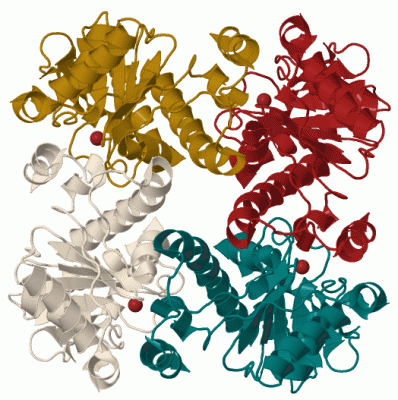 Image Biol.Unit 1 - manually