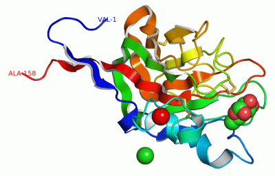 Image Asym./Biol. Unit - manually