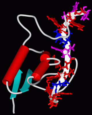 Image NMR Structure - manually