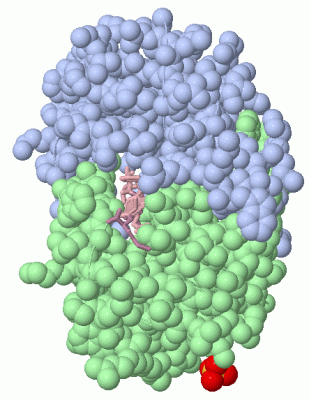 Image Asym./Biol. Unit - manually