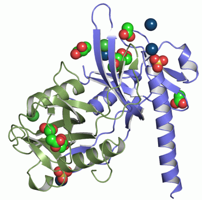 Image Asym./Biol. Unit - manually