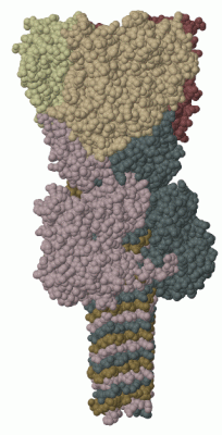 Image Biol.Unit 1 - manually