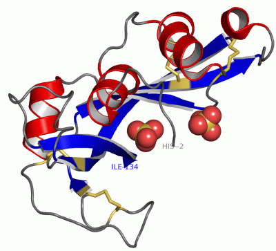 Image Asym./Biol. Unit - manually