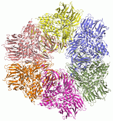 Image Asym./Biol. Unit - manually