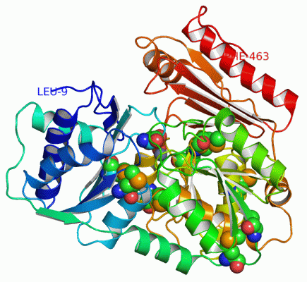 Image Asym./Biol. Unit - manually