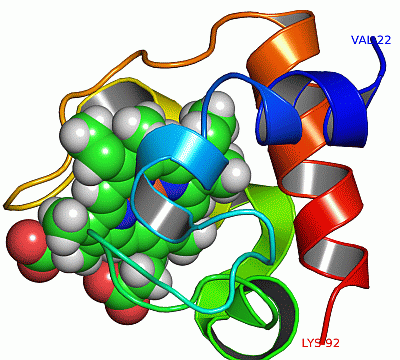 Image NMR Structure - manually