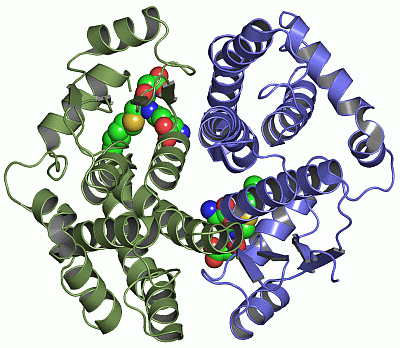 Image Asym./Biol. Unit - manually