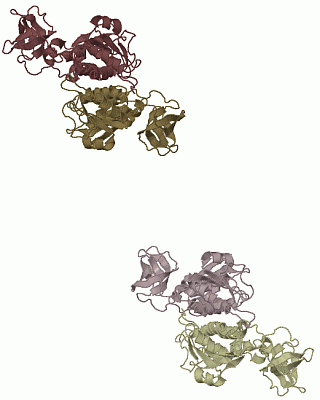 Image Asym./Biol. Unit - manually