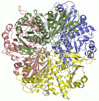 Image Asym./Biol. Unit - manually