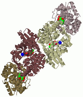 Image Biol.Unit 1 - manually