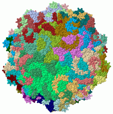 Image Biol.Unit 1 - manually