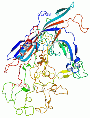 Image Asym.Unit - manually