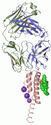 Image Asym.Unit - manually