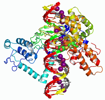 Image Asym./Biol. Unit - manually