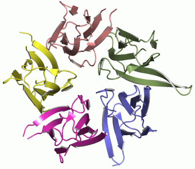 Image Asym./Biol. Unit - manually