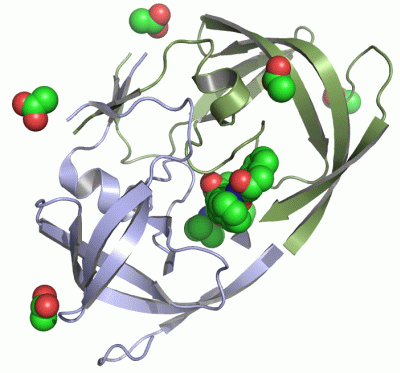 Image Asym./Biol. Unit - manually