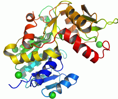 Image Asym./Biol. Unit - manually