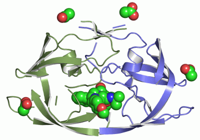 Image Asym./Biol. Unit - manually