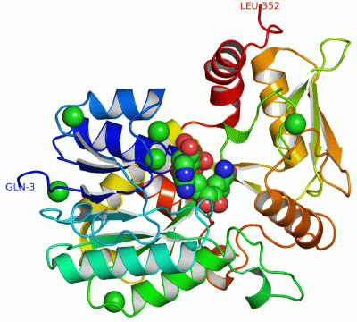 Image Asym./Biol. Unit - manually