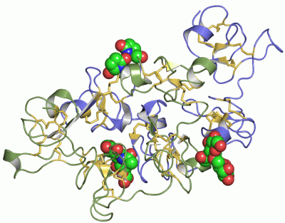 Image Asym./Biol. Unit - manually