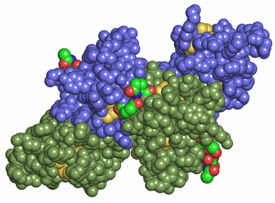 Image Asym./Biol. Unit - manually