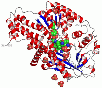 Image Asym./Biol. Unit - manually