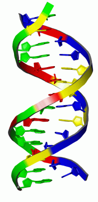 Image NMR Structure - manually