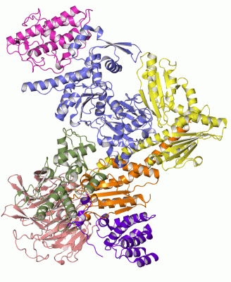 Image Asym./Biol. Unit - manually